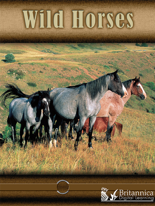 Title details for Wild Horses by Lynn M. Stone - Available